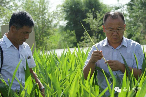 敦煌種業(yè)種子營銷分公司—通過組織黑龍江農(nóng)戶開展體驗之旅活動進一步提升公司的社會形象