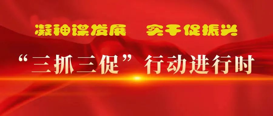 “三抓三促”進行時 | 多措并舉強本領 精準落實謀發展 —— 張掖市敦煌種業有限公司落實“三抓三促行動”紀實